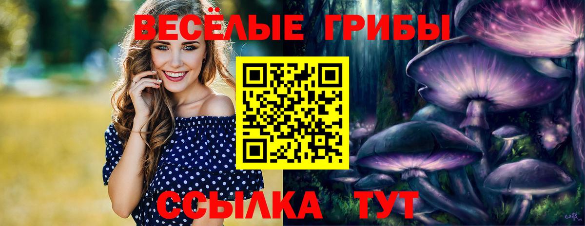 Лесозаводск  Галлюциногенные грибы Psilocybe  где купить наркоту  Вход с VPN 